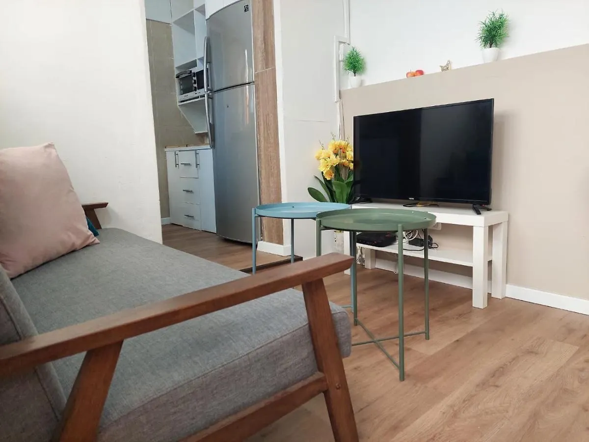 Amazing Garden Apartment In Haifa Israel
